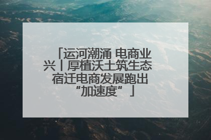 运河潮涌 电商业兴丨厚植沃土筑生态 宿迁电商发展跑出“加速度”