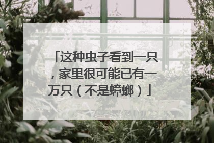 这种虫子看到一只，家里很可能已有一万只（不是蟑螂）