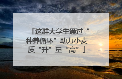 这群大学生通过“种养循环”助力小麦质“升”量“高”