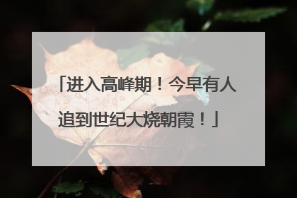 进入高峰期！今早有人追到世纪大烧朝霞！