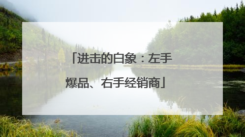 进击的白象：左手爆品、右手经销商