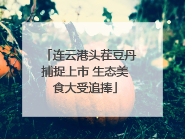 连云港头茬豆丹捕捉上市 生态美食大受追捧