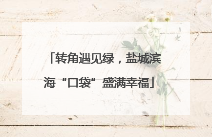 转角遇见绿，盐城滨海“口袋”盛满幸福