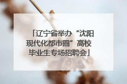 辽宁省举办“沈阳现代化都市圈”高校毕业生专场招聘会