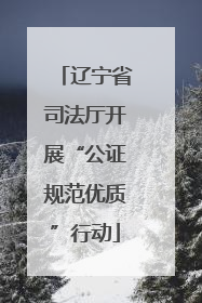 辽宁省司法厅开展“公证规范优质”行动