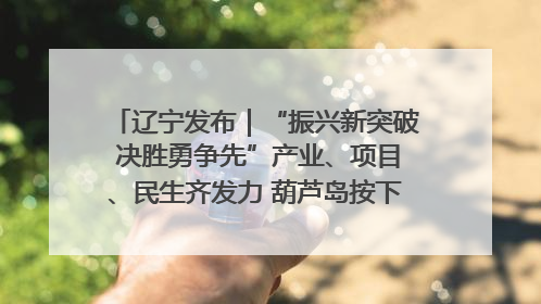 辽宁发布｜“振兴新突破 决胜勇争先”产业、项目、民生齐发力 葫芦岛按下决胜之年“加速键”