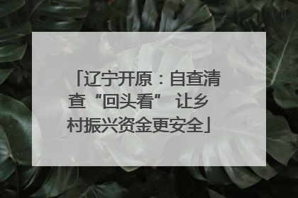 辽宁开原：自查清查“回头看” 让乡村振兴资金更安全