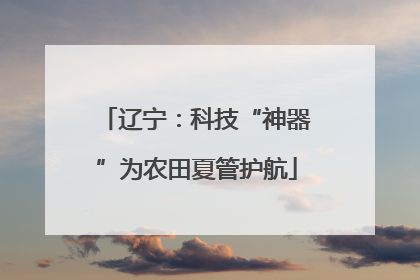 辽宁：科技“神器”为农田夏管护航