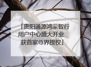 贵阳通源鸿蒙智行用户中心盛大开业 获首家尊界授权