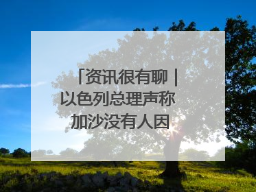 资讯很有聊｜以色列总理声称 加沙没有人因饥饿而消瘦