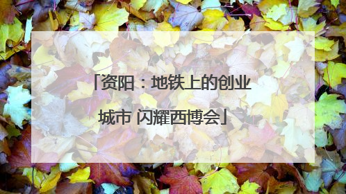 资阳：地铁上的创业城市 闪耀西博会