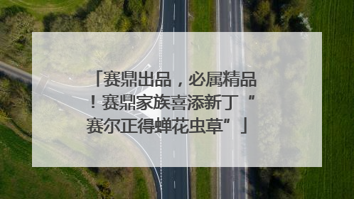 赛鼎出品,必属精品!赛鼎家族喜添新丁“赛尔正得蝉花虫草”