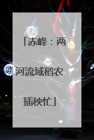 赤峰：两河流域稻农插秧忙