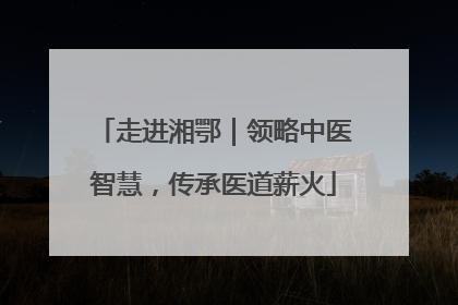 走进湘鄂｜领略中医智慧，传承医道薪火
