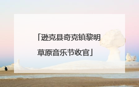 逊克县奇克镇黎明草原音乐节收官