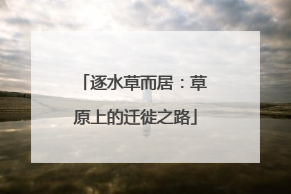 逐水草而居：草原上的迁徙之路