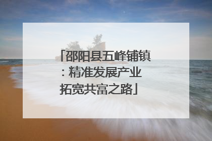 邵阳县五峰铺镇：精准发展产业 拓宽共富之路