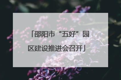 邵阳市“五好”园区建设推进会召开