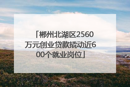 郴州北湖区2560万元创业贷款撬动近600个就业岗位