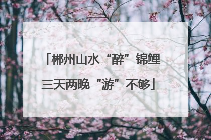 郴州山水“醉”锦鲤 三天两晚“游”不够