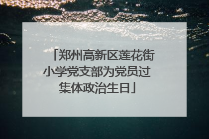 郑州高新区莲花街小学党支部为党员过集体政治生日