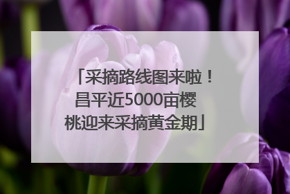 采摘路线图来啦！昌平近5000亩樱桃迎来采摘黄金期