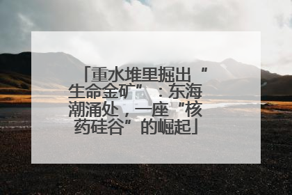 重水堆里掘出“生命金矿”：东海潮涌处，一座“核药硅谷”的崛起