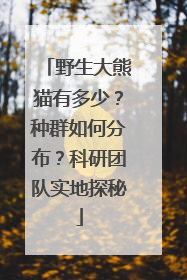 野生大熊猫有多少？种群如何分布？科研团队实地探秘