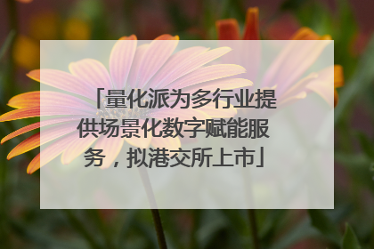 量化派为多行业提供场景化数字赋能服务，拟港交所上市
