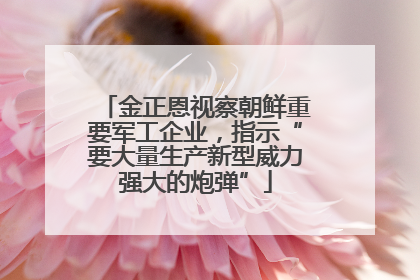 金正恩视察朝鲜重要军工企业，指示“要大量生产新型威力强大的炮弹”
