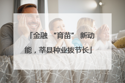 金融 “育苗” 新动能，莘县种业拔节长