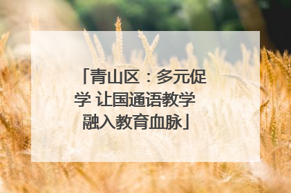 青山区：多元促学 让国通语教学融入教育血脉