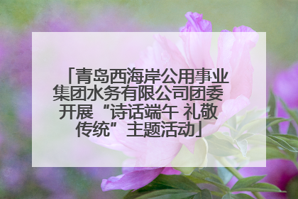 青岛西海岸公用事业集团水务有限公司团委开展“诗话端午 礼敬传统”主题活动