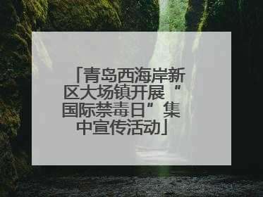 青岛西海岸新区大场镇开展“国际禁毒日”集中宣传活动