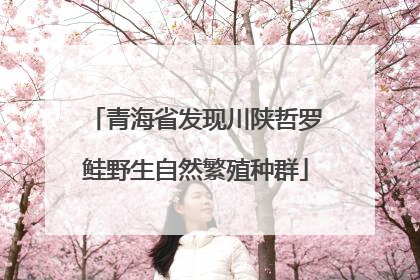 青海省发现川陕哲罗鲑野生自然繁殖种群