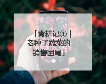 青耕记③｜老种子蔬菜的销售困局
