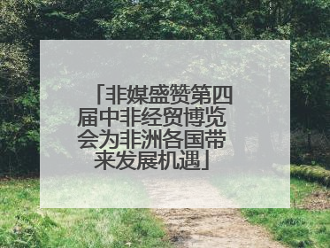 非媒盛赞第四届中非经贸博览会为非洲各国带来发展机遇