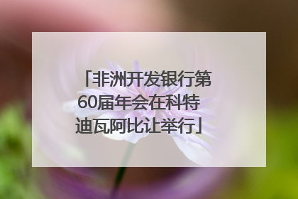非洲开发银行第60届年会在科特迪瓦阿比让举行
