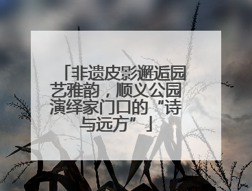 非遗皮影邂逅园艺雅韵，顺义公园演绎家门口的“诗与远方”