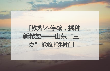 铁犁不停歇，播种新希望——山东“三夏”抢收抢种忙