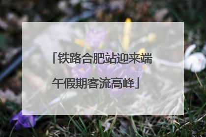 铁路合肥站迎来端午假期客流高峰