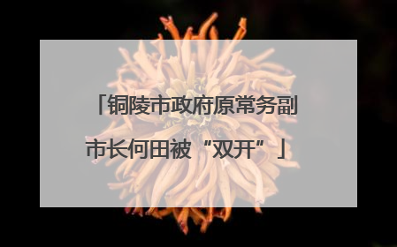 铜陵市政府原常务副市长何田被“双开”