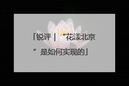 锐评｜“花漾北京”是如何实现的