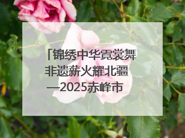 锦绣中华霓裳舞 非遗薪火耀北疆—2025赤峰市“文化和自然遗产日”非遗宣传展示活动纪实