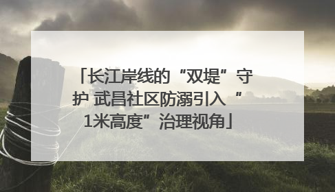 长江岸线的“双堤”守护 武昌社区防溺引入“1米高度”治理视角