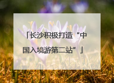 长沙积极打造“中国入境游第二站”