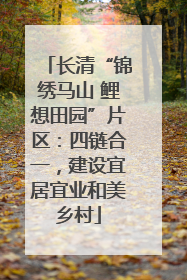 长清“锦绣马山 鲤想田园”片区：四链合一，建设宜居宜业和美乡村