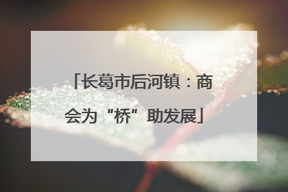 长葛市后河镇：商会为“桥”助发展