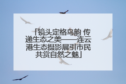 镜头定格鸟韵 传递生态之美——连云港生态摄影展引市民共赏自然之魅