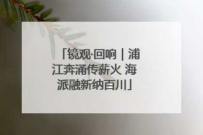 镜观·回响｜浦江奔涌传薪火 海派融新纳百川